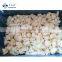 Wholesale Frozen Bulk White Cauliflower IQF Cauliflower Cut