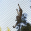 304 Stainless Steel Wire Aviary Rope Zoo Mesh for Zoo Enclosure