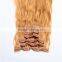 WJ024Indian hair extension human raw hair extension unprocessed virgin                        
                                                                                Supplier's Choice