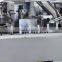 DHC-250P Injection Blister Packing Cartoning Packaging Line(Horizontal loading)