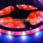  China auto LED strip light