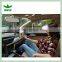 TS-VPH02 Top Quality Ipad Car Holder/phone Holder,car Holder for Ipad/cell Phone,car Ipad Holder