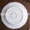 Ceramic dinner beautiful white round flat plate and dish