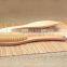 Spa bath brush