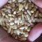 New crop Chinese Pinenut Kernels