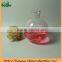 scent aroma diffuser air freshener glass