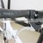 Black 18/20 inch folding bike aluminum alloy 6061