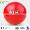 ZHENSHENG sand filled leather medicine ball