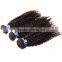 Blonde Peruvian Kinky Curly Virgin Hair 100% Human Hair Deep Wave Tight Curly Hair Extension 3pcs/lot