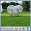 outdoor aurora bubble for soccer