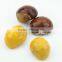 TTN Wholesale Chinese Nuts Chestnut Fresh Chestnuts Snacks