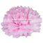 Pink Dot tissue paper pom poms flower balls