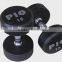 Round Fixed Rubber Dumbbell With Colorful Logo