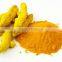 Fresh Bold Turmeric Fingers Exporters