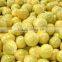 1 kg honey pomelo price