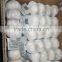 20156 new crop fresh garlic
