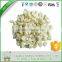 New style Cheapest freeze dried food green asparagus