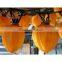 Stainless Steel Spring Clip for Air Dried Persimmon