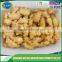 Grade A fresh ginger root
