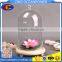 Clear Globe Glass Vase Glass Cover Landscape Bottle Wood Stand