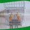 no pollution fresh orange juice Citrus juicer electric
