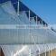 Galvanized steel structure pc sheet cover greenhouses
