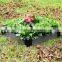 Wpc Garden Furniture Waterproof Wpc Flower Box