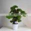 SJ0301125 Guangzhou Shengjie Artificial plant wholesale cypress bonsai tree