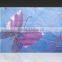 LAMINATED GLASS