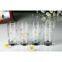 Glassware/Glasses/Glass Mug Best Qaulity And Low Price
