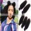 2016 New product factory price kinky curly shedding and tangle free burma virgin hair bundles