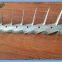 Hot dipped galvanized and PVC coated black medium wall spikes