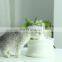 Automatic Cyclic Water Ceramic Live Fountain Pet Bowl Pet Feeder Dog Cat Bowl Neck Protection