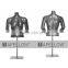 Fiberglass Female Mannequin Half Body Mannequin HEF-11