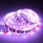 Factory Wholesale Building Decoration Indoor Outdoor Landscape Ip65 Smd 5050 Dc 12v Led Strip Light