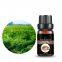 Chinese supplier pharmaceutical grade 100% pure natural Chuanxiong oil