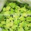Top Grade IQF Frozen Romanesco