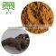 High Quality Black Cohosh Extract Cimicifuga Racemosa Extract