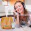 New Arrival Wood Grain Essential Oil Aroma Diffuser Air Humidifier