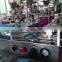 50g - 250g 500g mozzarella cheese Sachet Packaging Machine Price