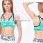 (Trade Assurance)sportswear bra cross fit sportswear bra push up bra