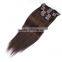 Factory Price 8A Quality Clip in Remy Hair Extension in Stock