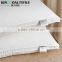 Luxury 100% Pure Silk And Polyester Mixed Pillow With Jacquard Silk Fabrc Shell