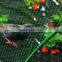 HDPE anti bird net