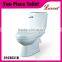 Economic shower room Washdwon wall mounted one piece Toilet