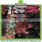used shoes and clothes