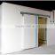 freezer cold storage room for fish, chicken and meat