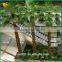 Wholesale artificial palm tree fiberglass artificial fan palm tree