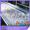 Durable Chemical Resistant Conveyor Belt