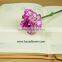 Home Decor Good Quality Carnation Cut Flower Prices Factory Directly Sell Purple Fresh Cut Carnation Flower